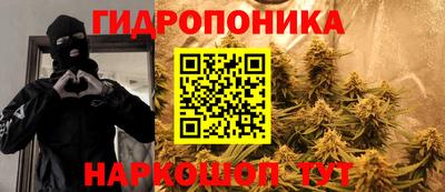 гидра Будённовск