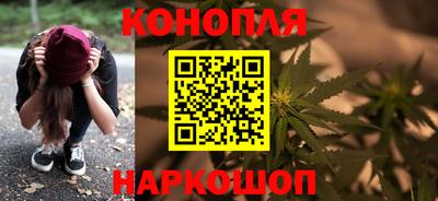 гидра Будённовск
