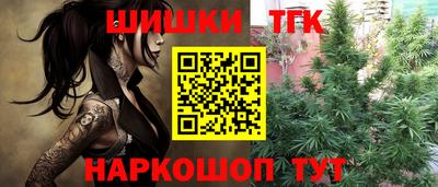 гидра Будённовск