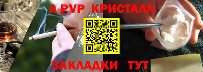 гидра Будённовск