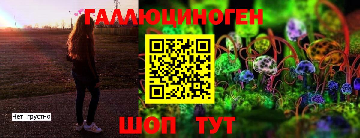 Красный Сулин  Галлюциногенные грибы GOLDEN TEACHER  Вход с VPN 